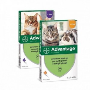 ADVANTAGE 80 4 pip x 0,8 ml...