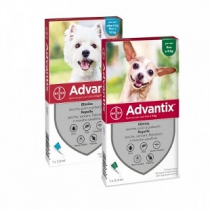 ADVANTIX SPOT ON 1 pip.x...