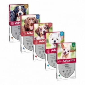 ADVANTIX SPOT ON 4 pip.x...