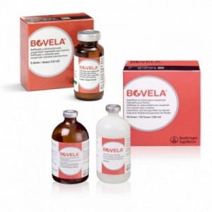BOVELA 10 ml 5 dosi (BVDV-1...
