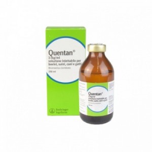QUENTAN 250 ml