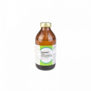 QUENTAN 250 ml 2