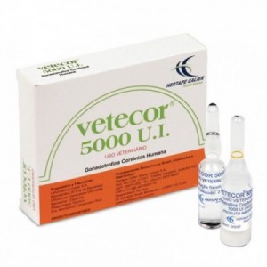 VETECOR 5000 U.I. 2
