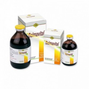 DALMAVITAL 100 ml