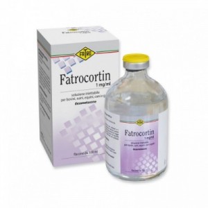 FATROCORTIN 100 ml