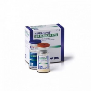 @ HIPRABOVIS IBR MARKER...