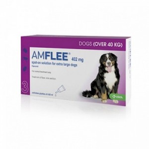 AMFLEE cane spot-on 402 mg...