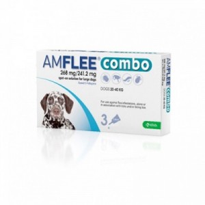 AMFLEE COMBO spot-on...