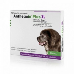 ANTHELMIN PLUS XL...