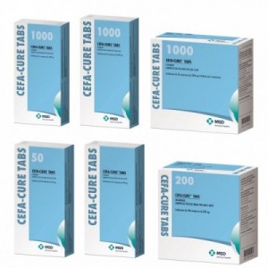 CEFACURE TAB 1000 mg 10 cpr 2