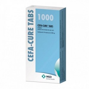 CEFACURE TAB 1000 mg 10 cpr
