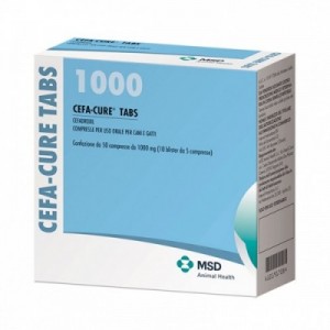 CEFACURE TAB 1000 mg 50 cpr