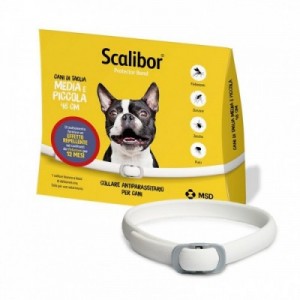 SCALIBOR PROTECTORBAND...