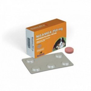 NISAMOX 250 mg 20 cpr cane