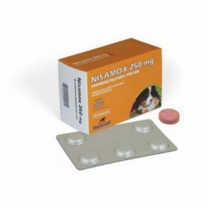 NISAMOX 250 mg 50 cpr cane