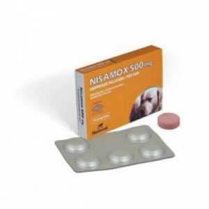 NISAMOX 500 mg 10 cpr cane