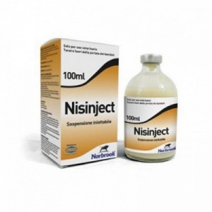 NISINJECT iniettabile 100 ml