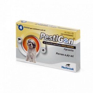 PESTIGON cane taglia S 2-10...