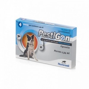 PESTIGON cane taglia M...