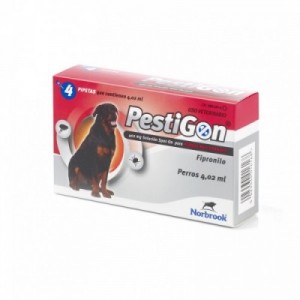 PESTIGON cane taglia XL...