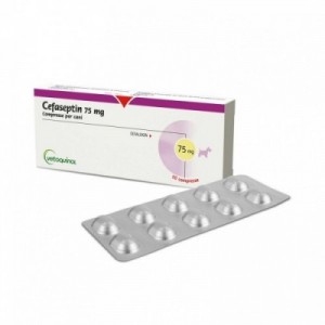 CEFASEPTIN 75 mg 10 cpr