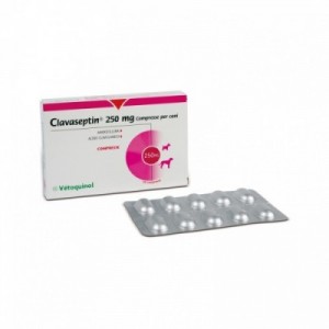 CLAVASEPTIN 250 mg 10 cpr...