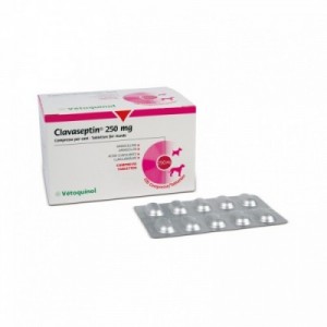 CLAVASEPTIN 250 mg 100 cpr...