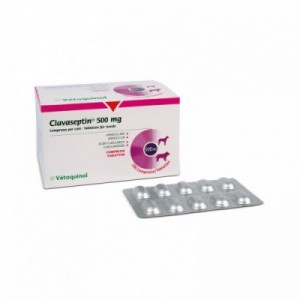 CLAVASEPTIN 500 mg 100 cpr...