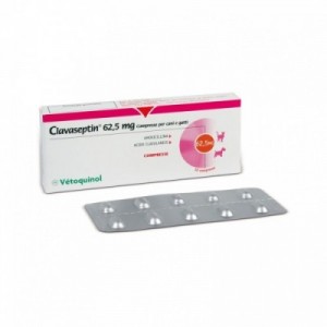 CLAVASEPTIN 62,5 mg 10 cpr...