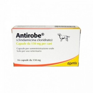ANTIROBE 150 mg 16 cpr cane...