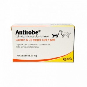 ANTIROBE 25 mg 16 cpr cane...