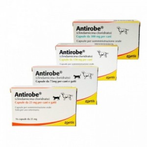 ANTIROBE 25 mg 16 cpr cane... 2