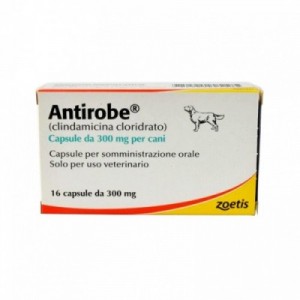 ANTIROBE 300 mg 16 cpr cane...