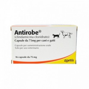 ANTIROBE 75 mg 16 cpr cane...