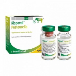 RISPOVAL PASTEURELLA 5 dosi