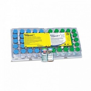 VANGUARD 7 25 dosi