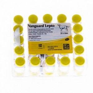 VANGUARD LEPTO 25 dosi