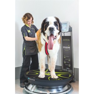 Piattaforma di destabilizzazione 3D 2