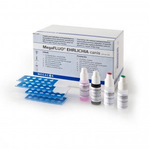 MEGA SCREEN FLUOEHRLICHIA...