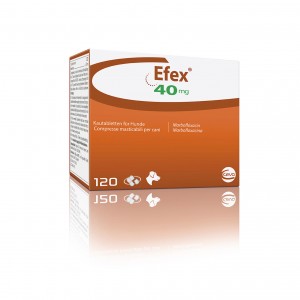 EFEX 40 mg 120 cpr