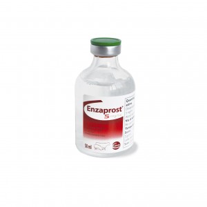 ENZAPROST 50 ml bovino e suino 2