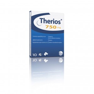 THERIOS 750 mg 10 cpr