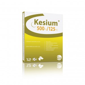 KESIUM 500 mg / 125 mg 12 cpr