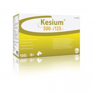 KESIUM 500 mg / 125 mg 96 cpr