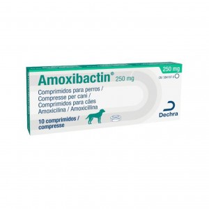 AMOXIBACTIN 250 mg 10 cpr cane