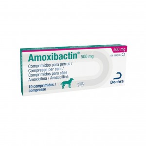 AMOXIBACTIN 500 mg 10 cpr cane