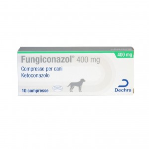 FUNGICONAZOL 400 mg 10 cpr