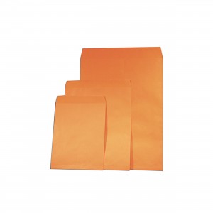 BUSTA X RADIOGRAFIA 19 x 25...