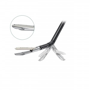 MANIPOLO CAIMAN MARYLAND... 2