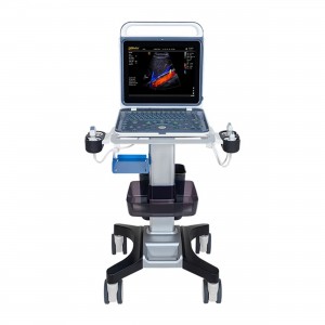 ECOGRAFO VET BPU60 C/SONDA... 2